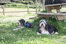 /Stellplatz-Marine-de-Giottani-,-Angy-und-Gloria