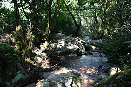 Wanderung-bei-Carbucca