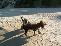 Jetzt m&uuml;ssen wir aber Schlu&szlig; machen