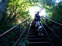 gef&auml;hrliche Treppe 