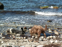 Ein Bad nach der Anstrengung