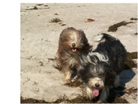 Wind und Sand ist Gl&uuml;cklichsein