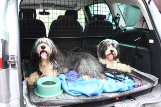 Auf Wiedersehen bei Familie Mayer