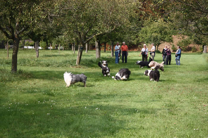Streuobstwiese Schloss Weikersheim